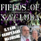 Image Interview – Fields of Naecluda du 08 Juillet 2024